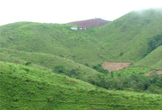Green Meadows Vagamon, Kerala, India, Kerala, India